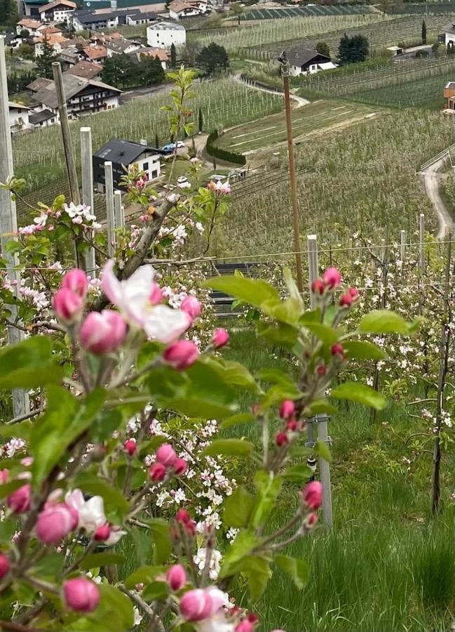 דירות צ'רמס Weingut Bachguetl מראה חיצוני תמונה